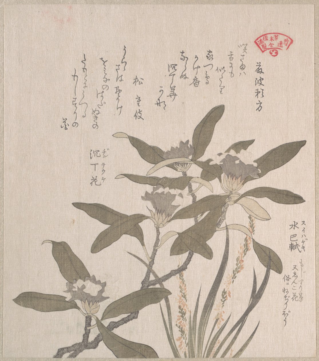 Daphne odora and Mojisuri-so by Kubo Shunman