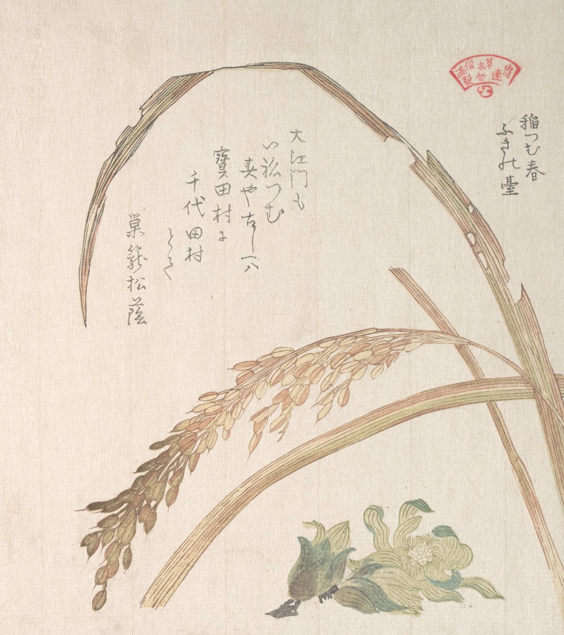 Rice Plant and Butter-Burs, 19th century by Kubo Shunman
