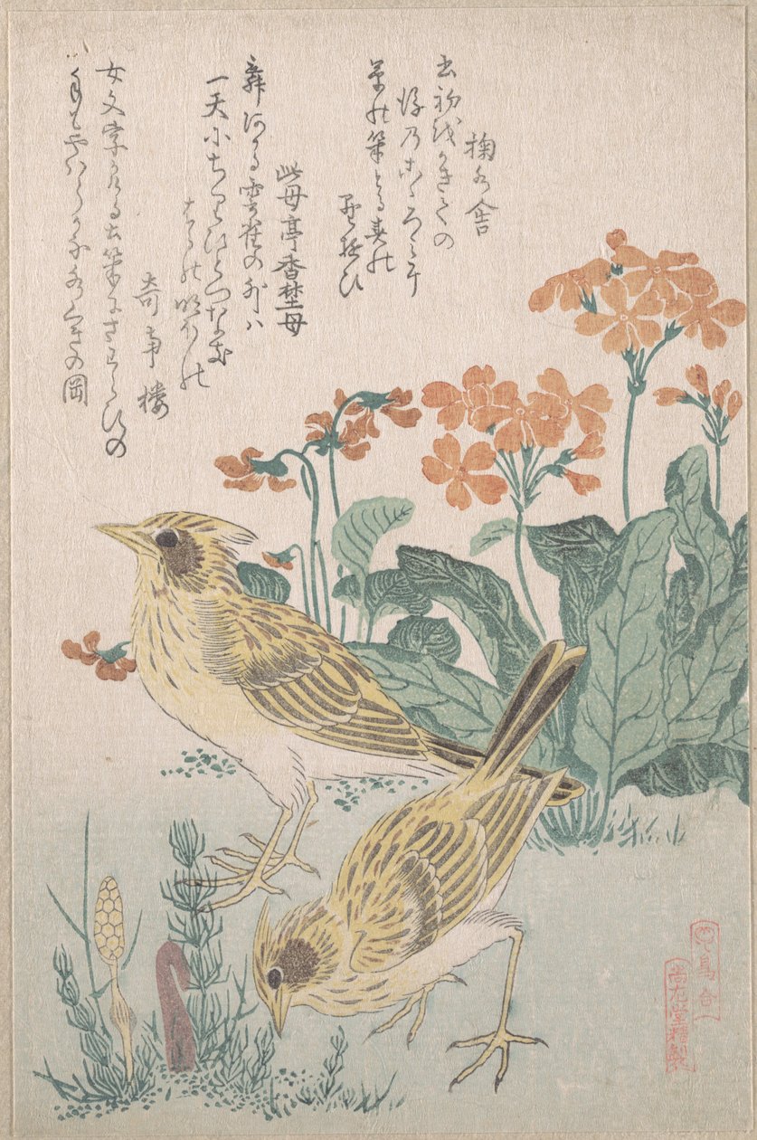 Skylarks and Primroses, from the Series An Array of Birds, from Spring Rain Surimono Album by Kubo Shunman