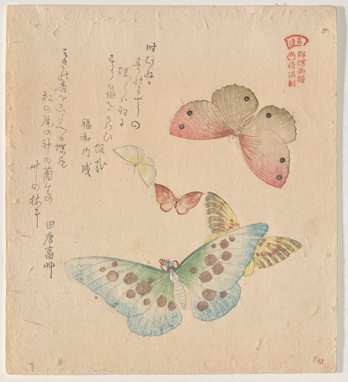 The Painting Manual of Flock of Butterflies (Guncho Gafu) by Kubo Shunman