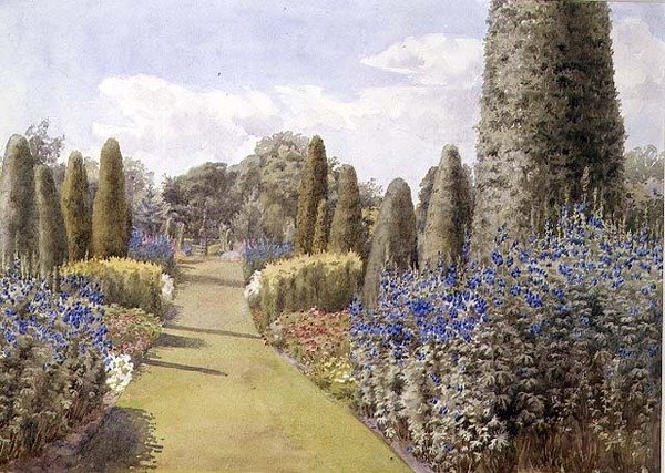 The Herbaceous Border by Lady Alice Willoughby