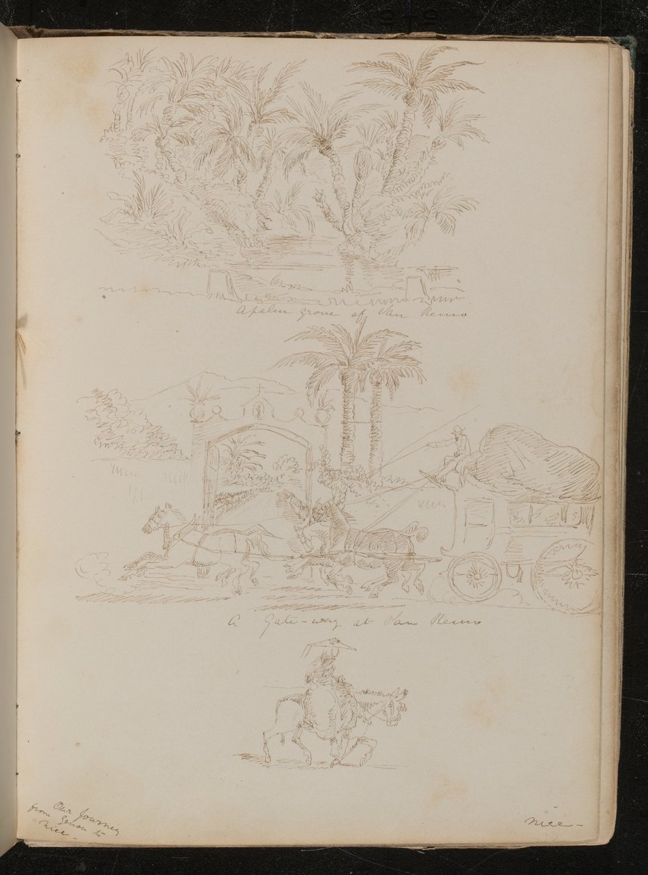 A palm grove at San Remo, a horse-drawn carriage in front of 
