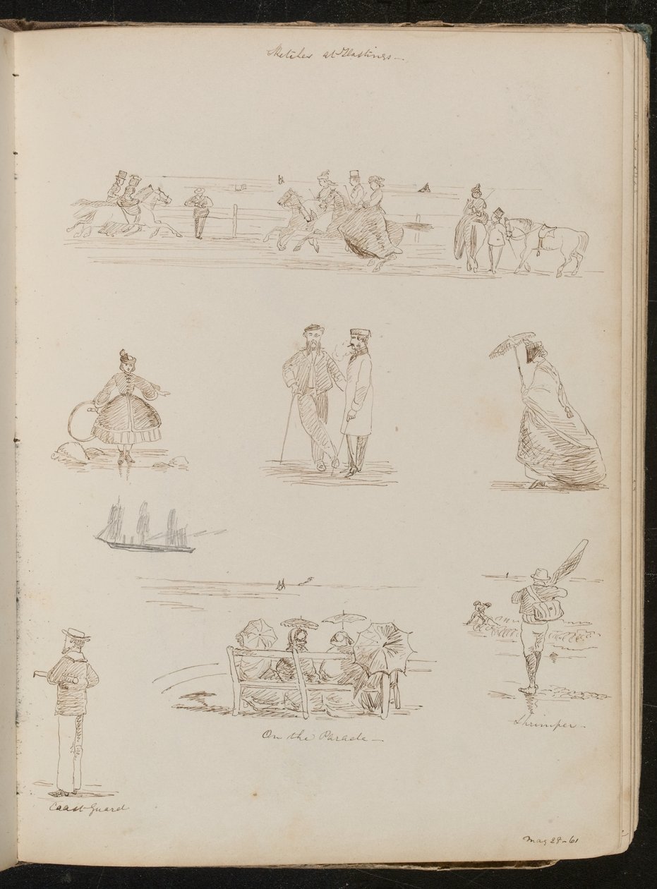 Studies of Men and Women 