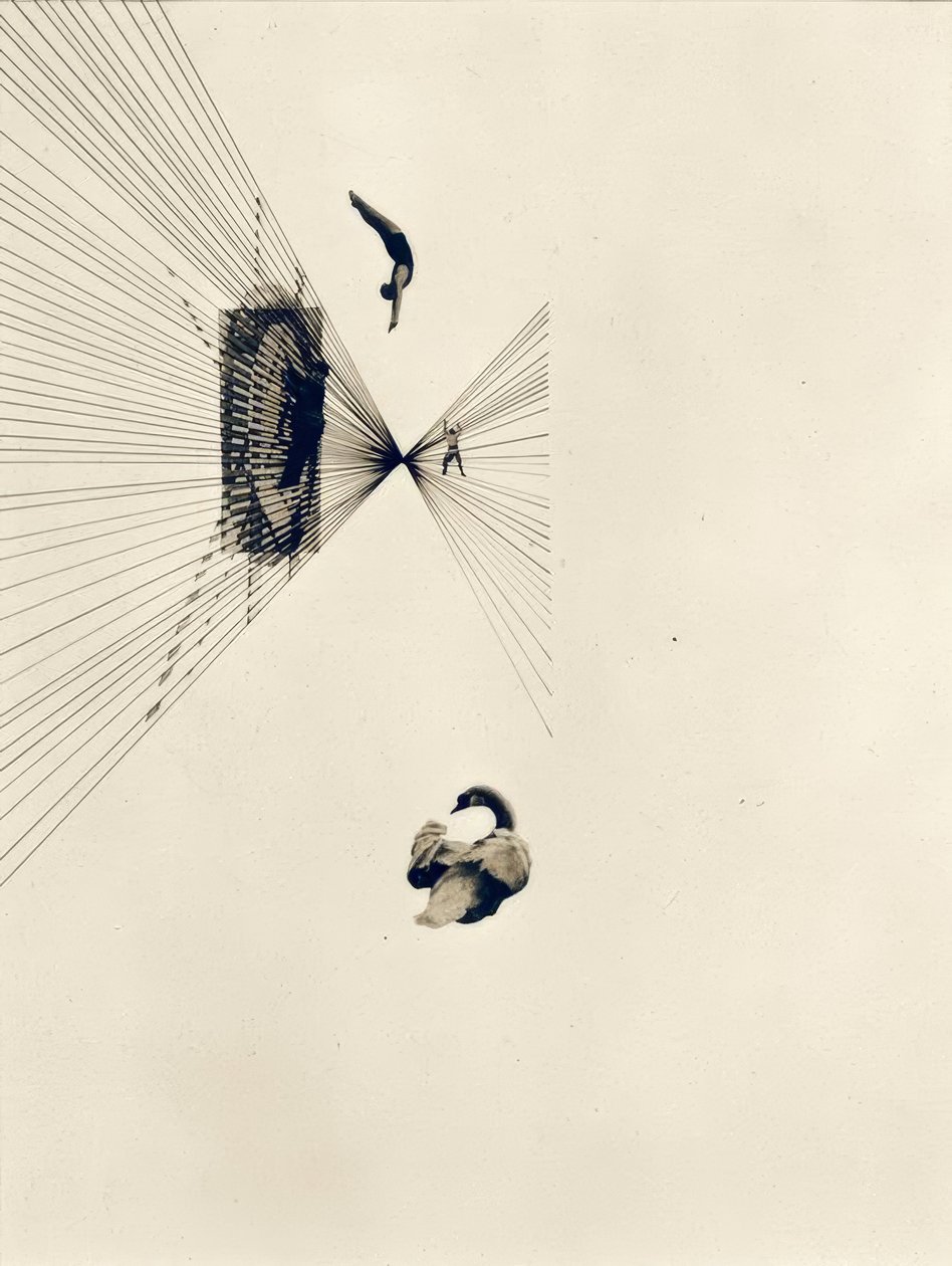 Leda and the Swan by Laszlo Moholy-Nagy