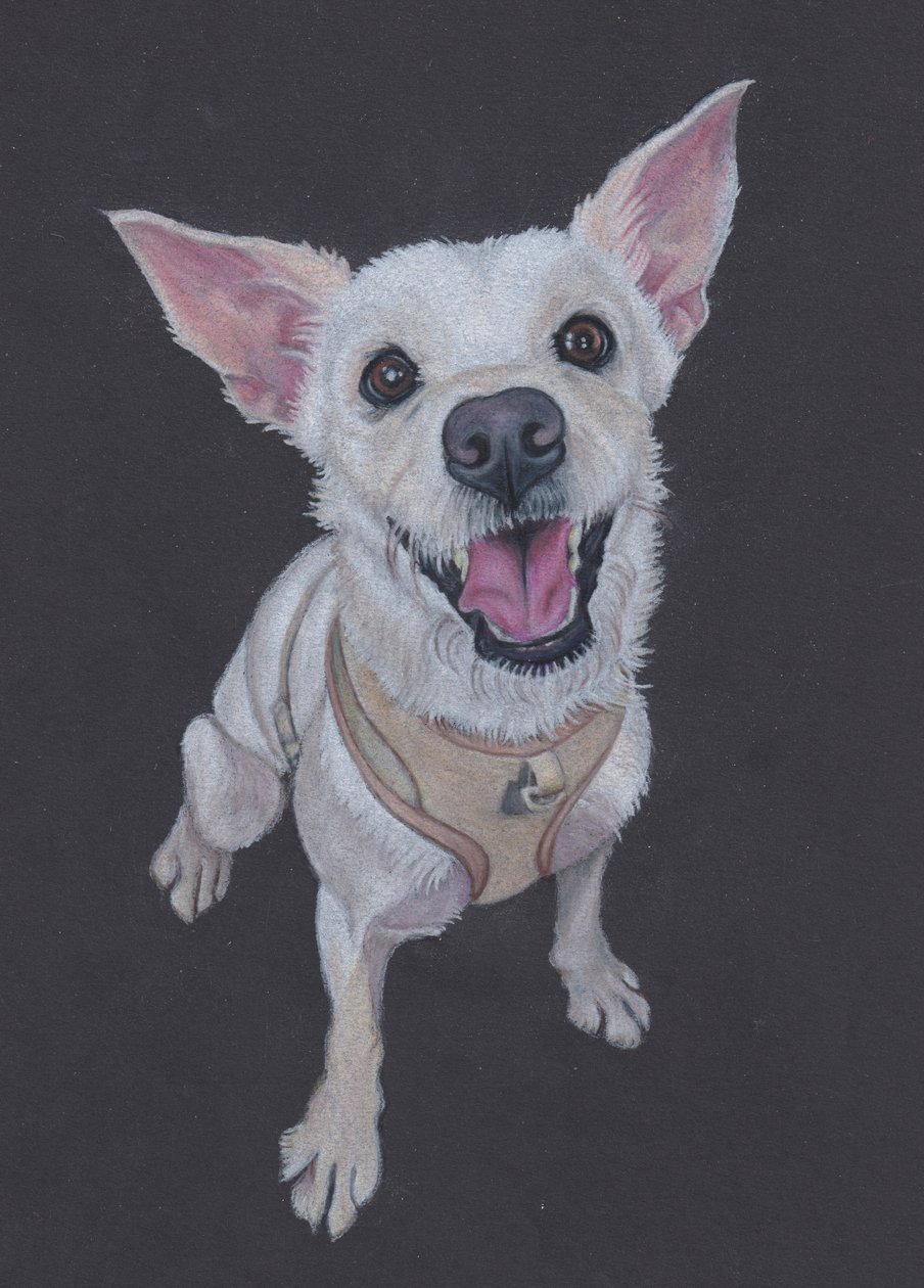 Fluffy, 2025 by Laurie Michaels