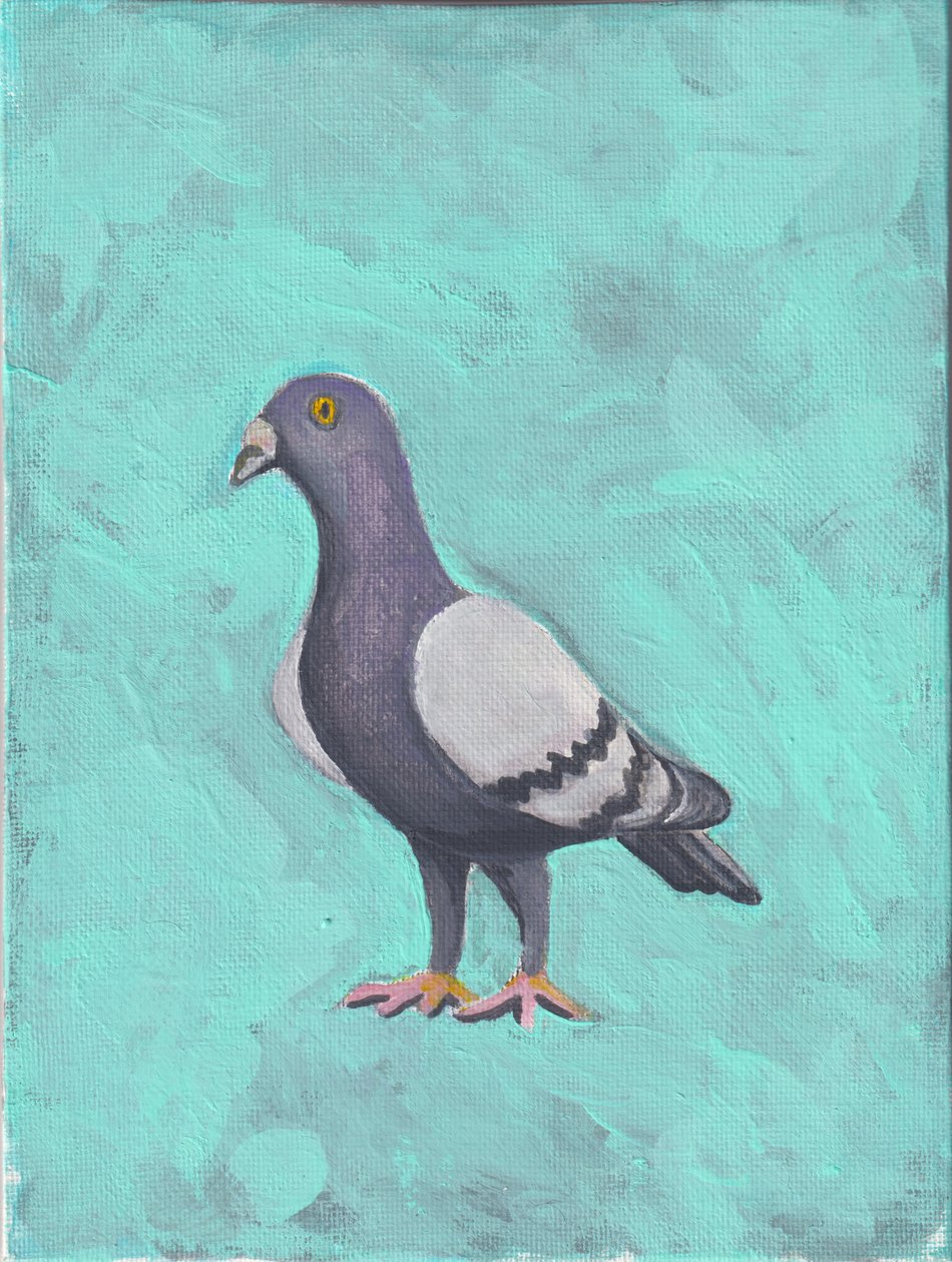 Pigeon by Laurie Michaels