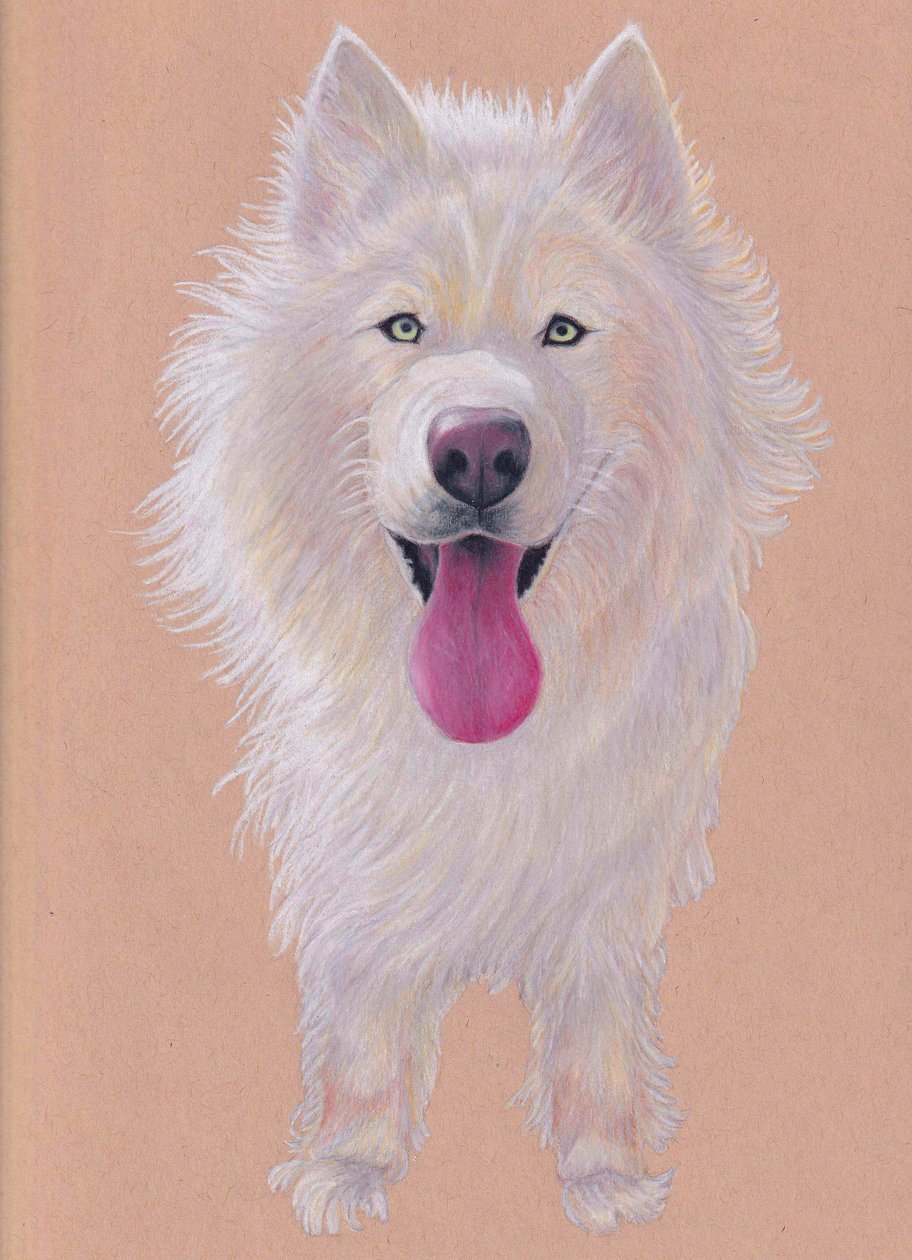 Snowky, 2021 by Laurie Michaels