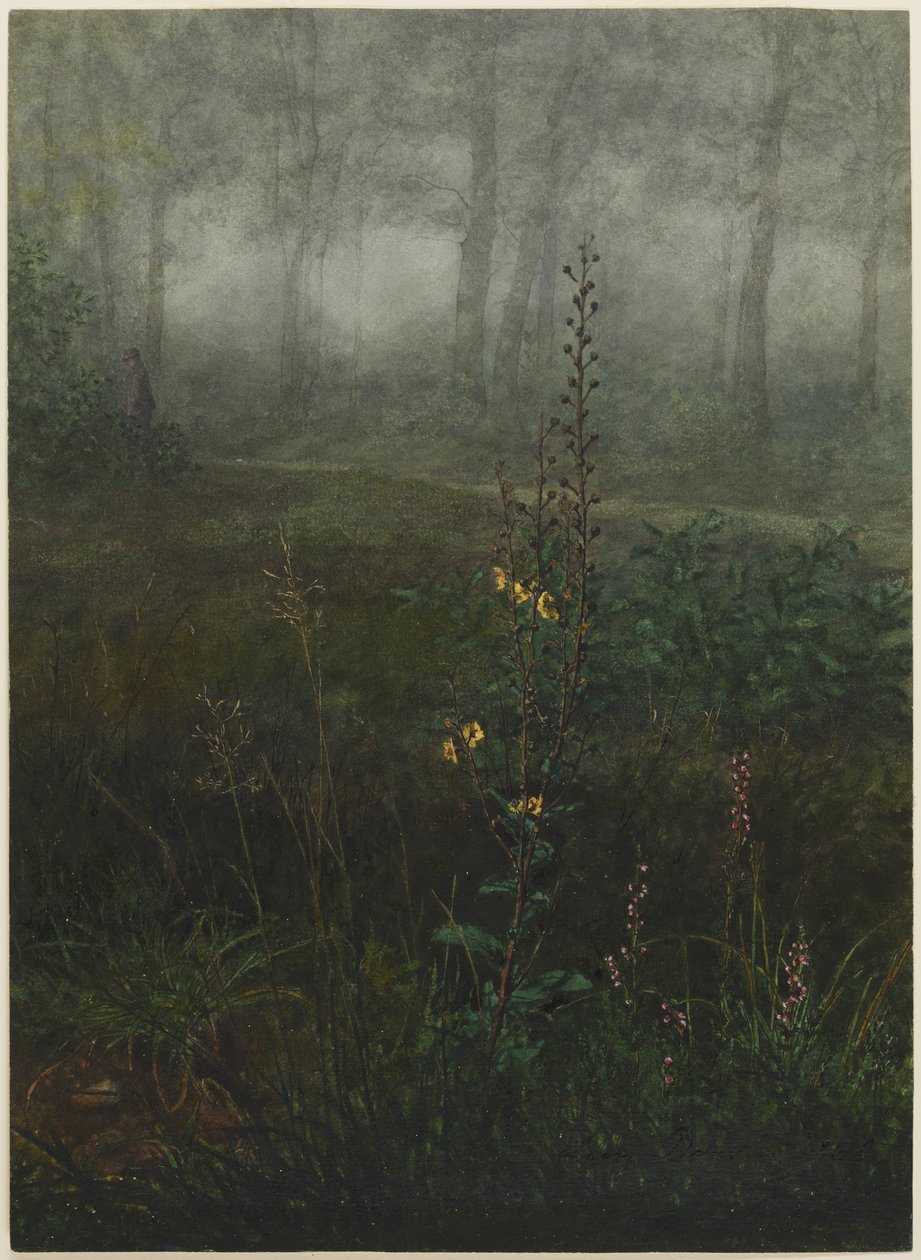 Gray Mullein in the Undergrowth by Léon Bonvin