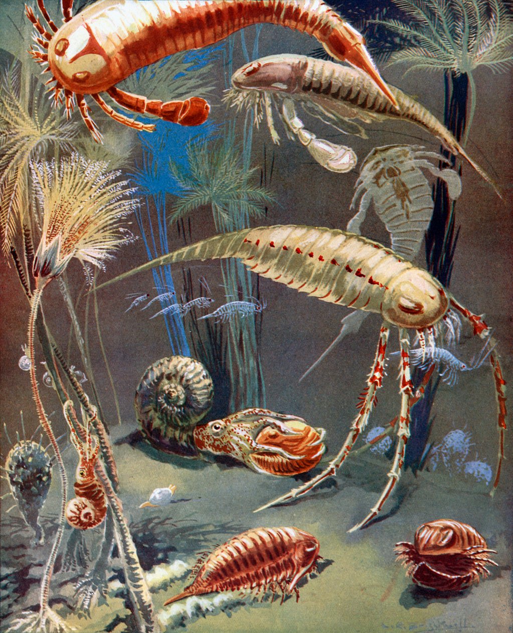 Life in Paleozoic Seas by Leonard Robert Brightwell