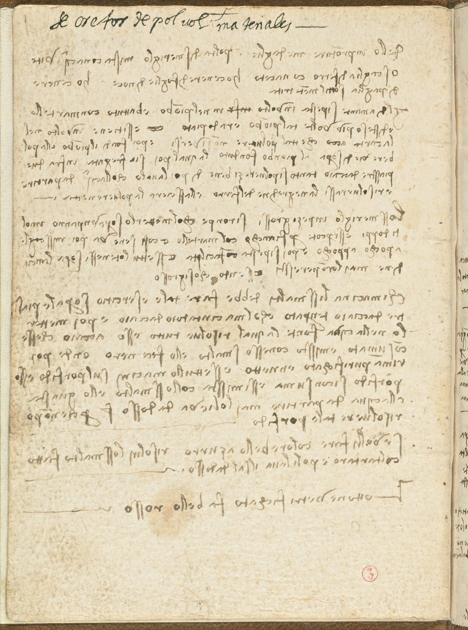 Bird Flight Code, Cover II by Leonardo da Vinci