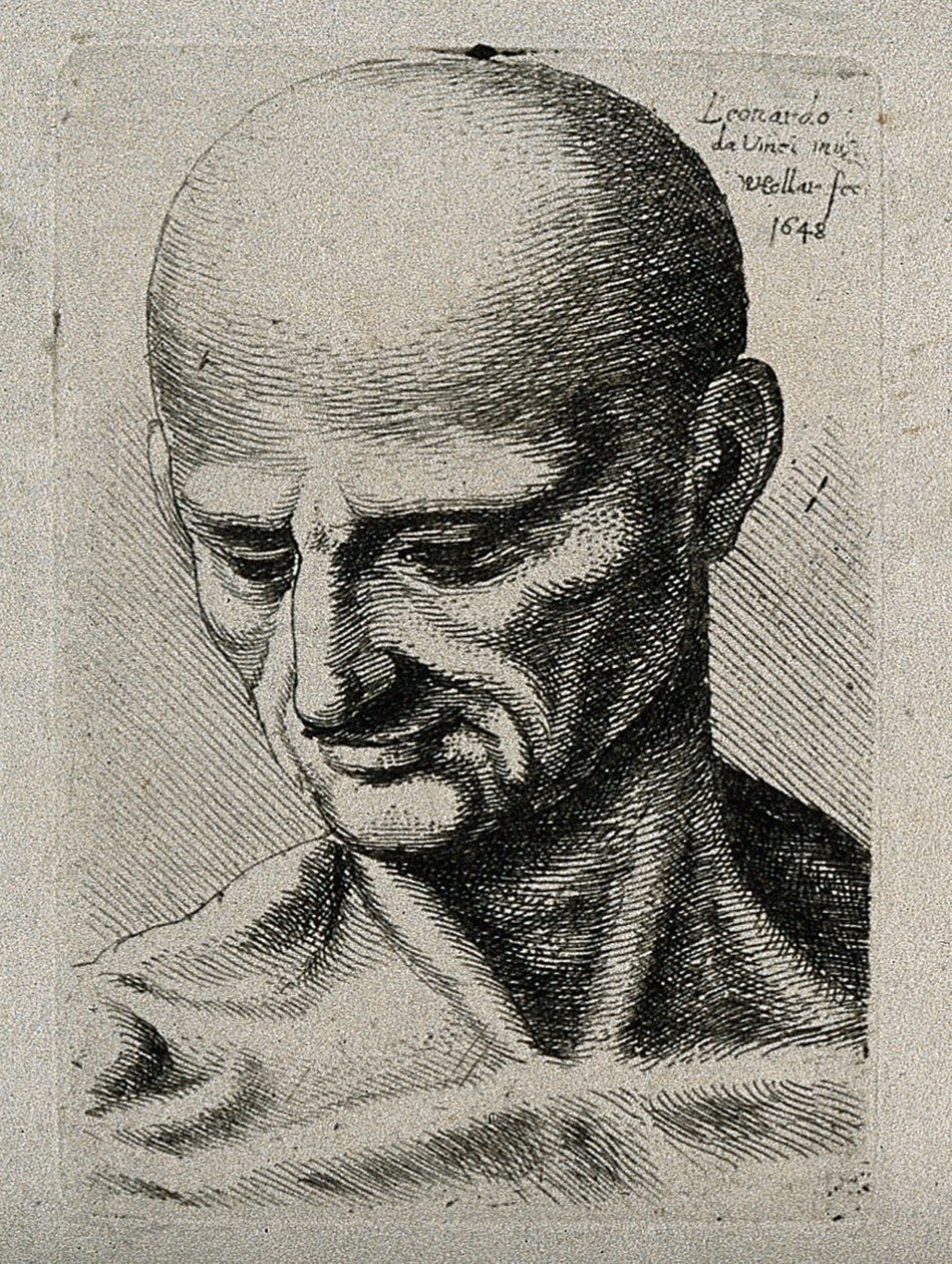 Bust of a Lean Male, Looking Down to His Lower Right by Leonardo da Vinci