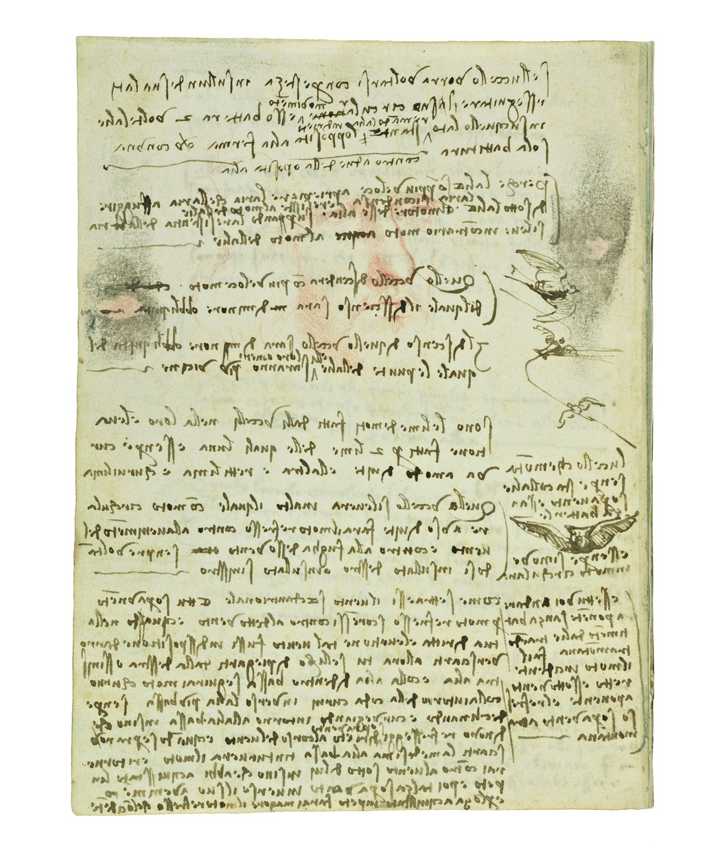 Codex on the Flight of Birds, Folio 10 Verso by Leonardo da Vinci