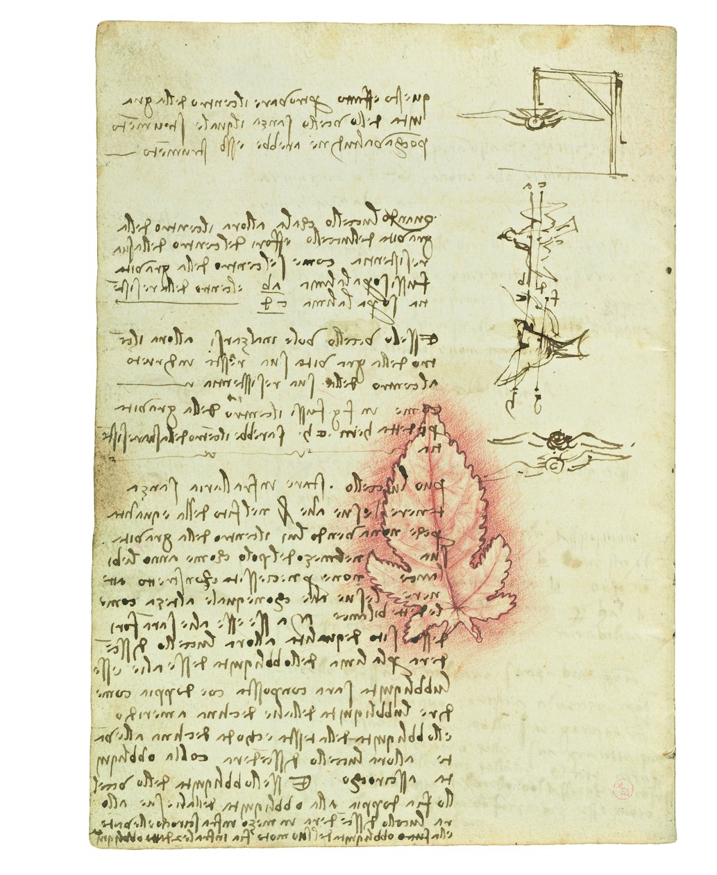 Codex on the Flight of Birds, Folio 15 Verso by Leonardo da Vinci