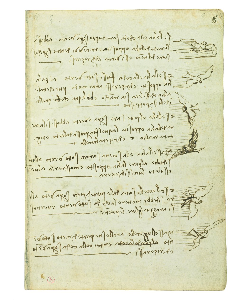 Codex on the Flight of Birds, Folio 8 Recto by Leonardo da Vinci