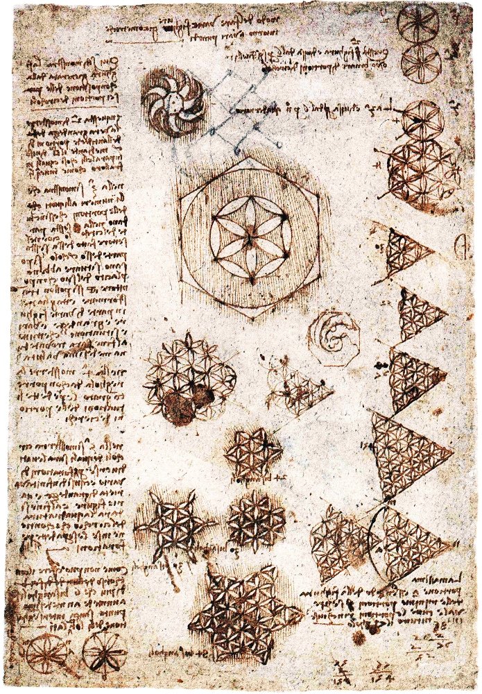 Flower of Life by Leonardo da Vinci