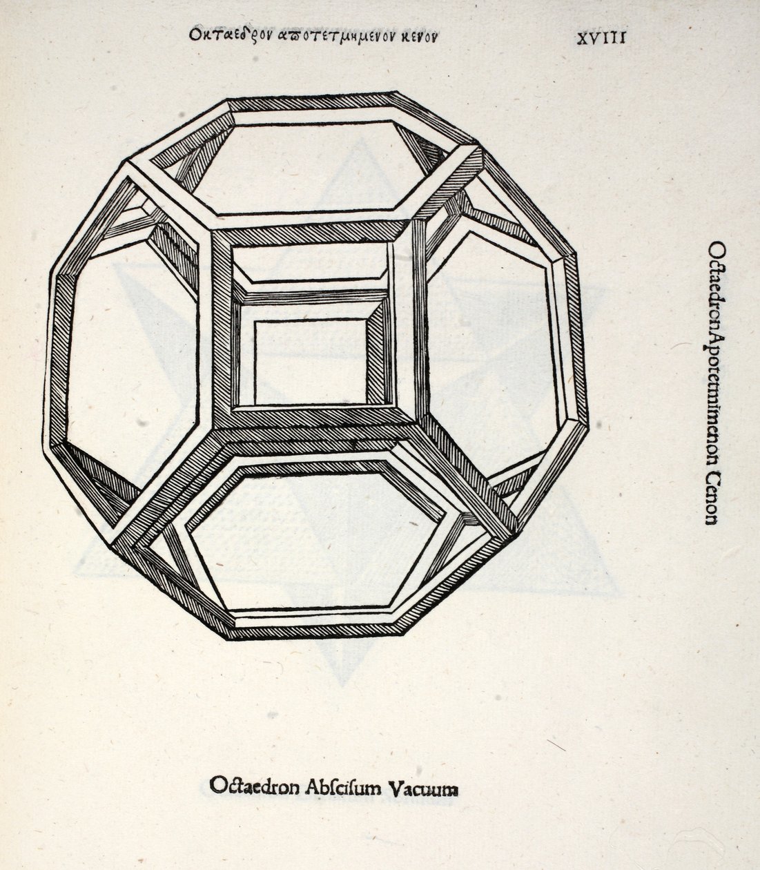 Octocedron abscisum vacuum, illustration from 