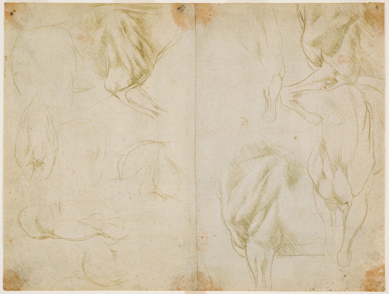 Studies of the musculature of the forelimbs of the horse, c. 1480 by Leonardo da Vinci
