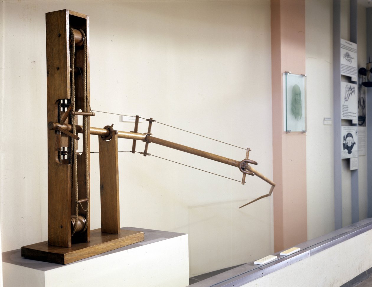 Wing with variable inclination, model according to the drawing of Leonardo da Vinci by Leonardo da (after) Vinci