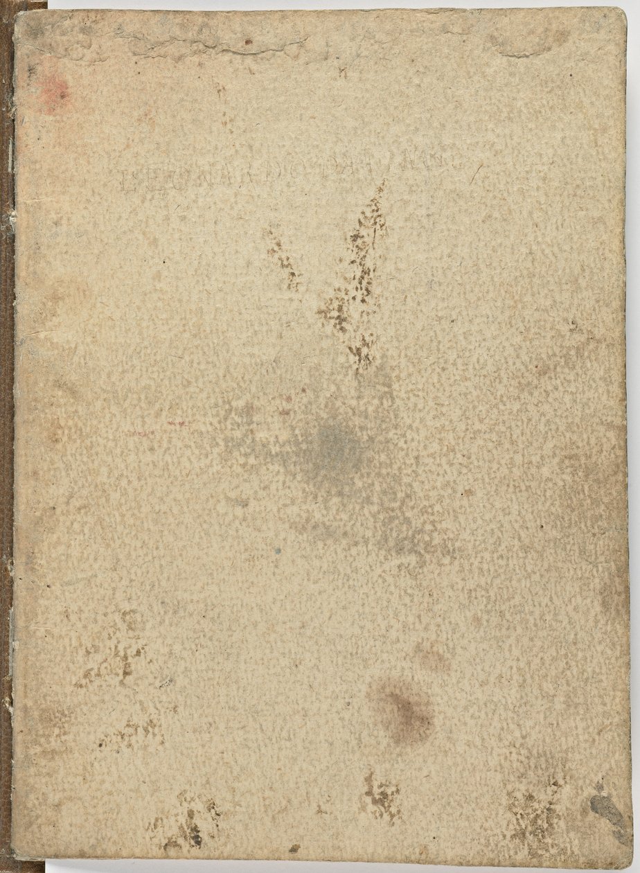 Code on the Flight of Birds by Leonardo da Vinci
