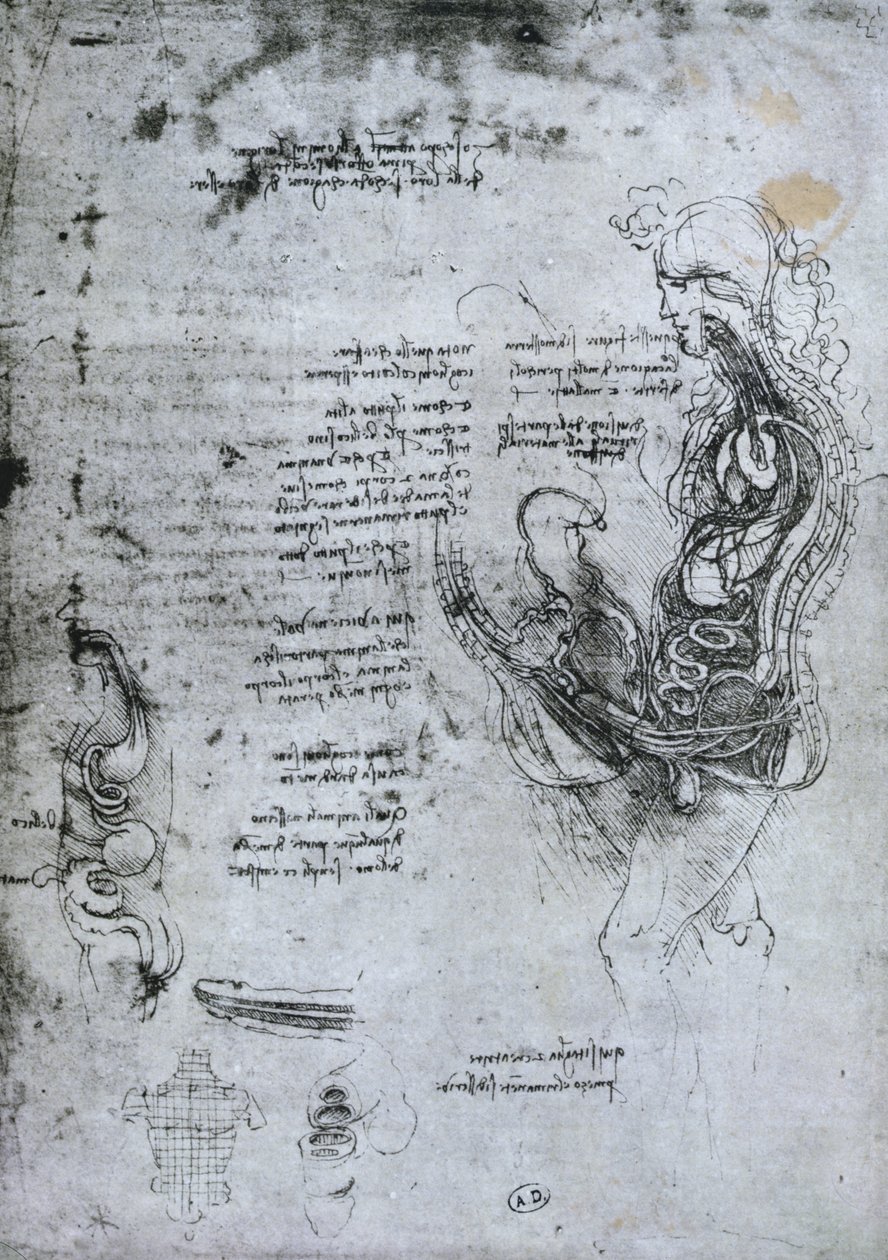 Coition of Hemisected Man and Woman, Facsimile Copy