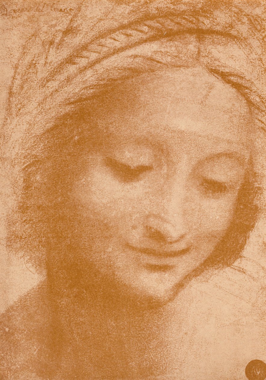 Head of a Woman by Leonardo da Vinci