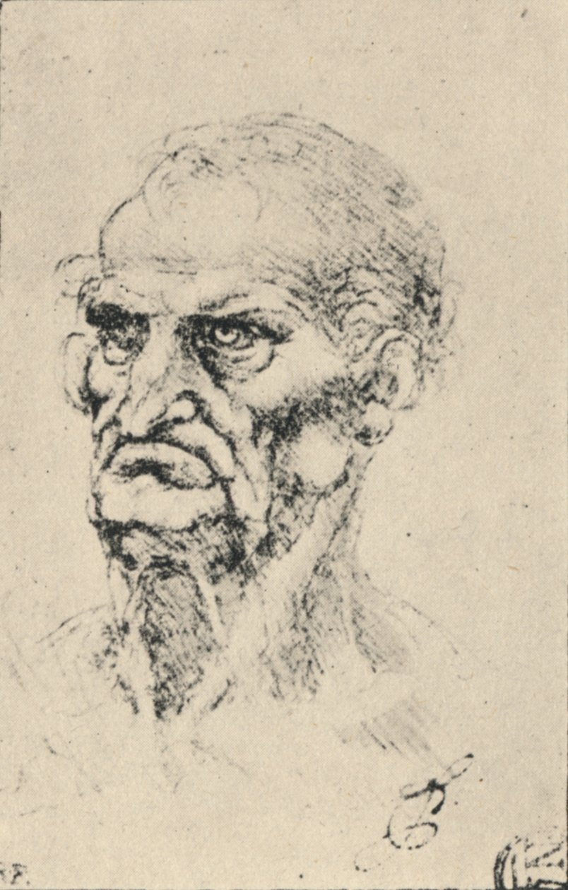 Head of an Old Man Three-Quarters to the Left, c1480, 1945 by Leonardo da Vinci