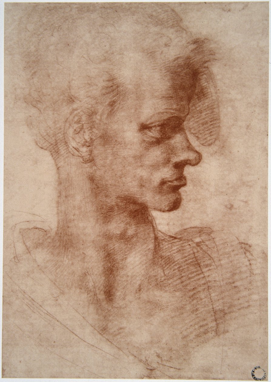 Caricature portrait of a young man by Leonardo da Vinci