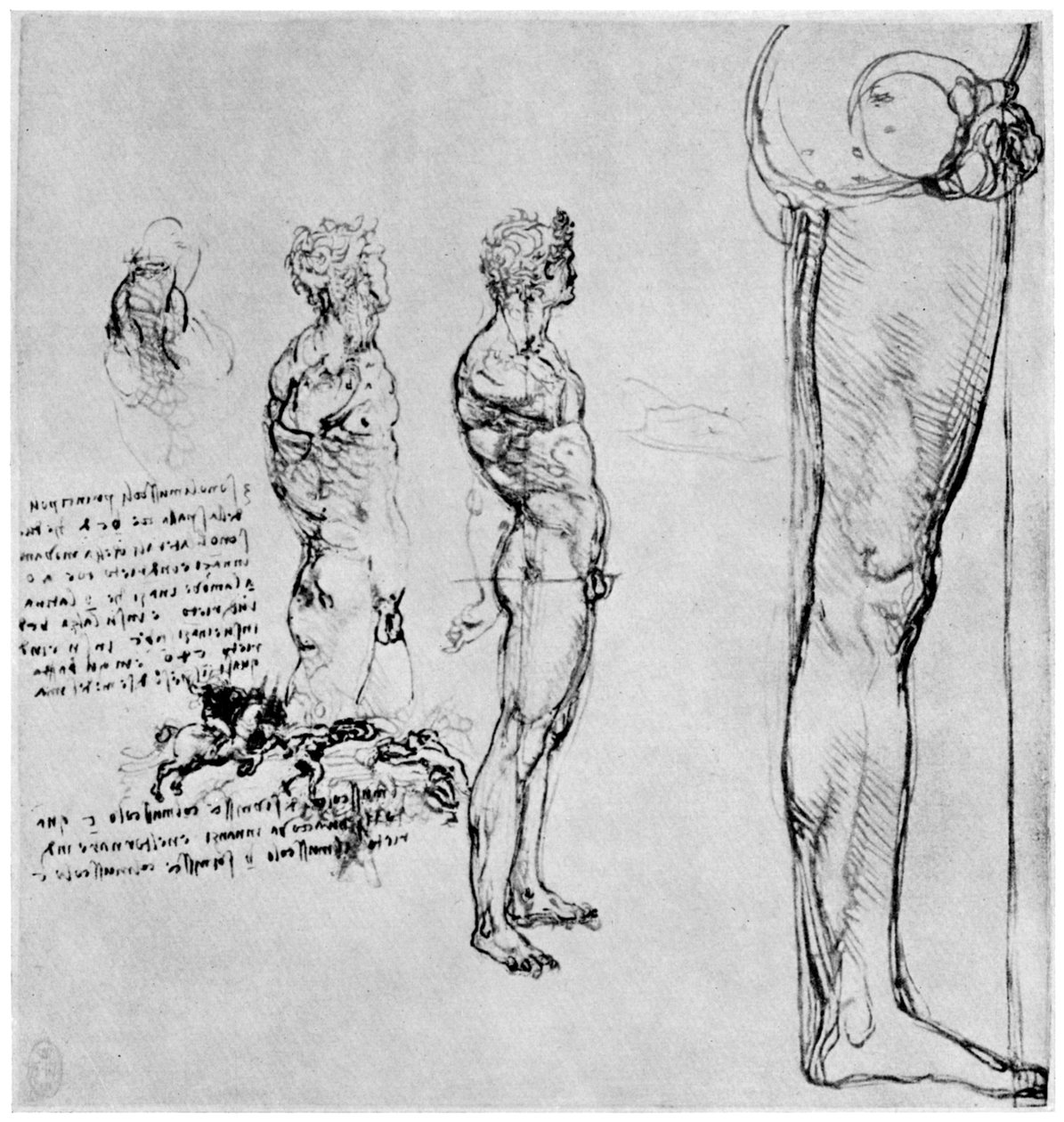 Nude studies for The Battle of Anghiari by Leonardo da Vinci