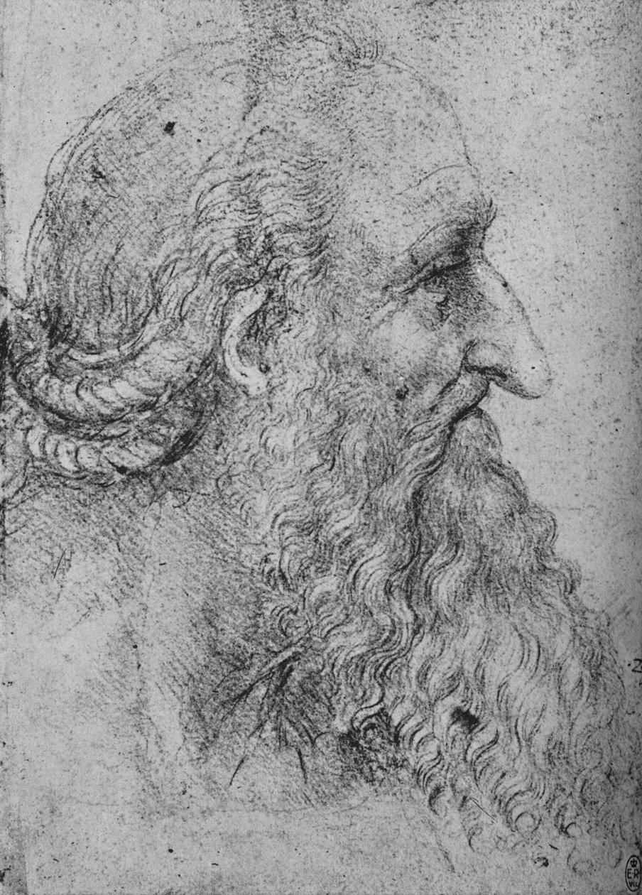 Profile of an Old, Bearded Man to the Right by Leonardo da Vinci