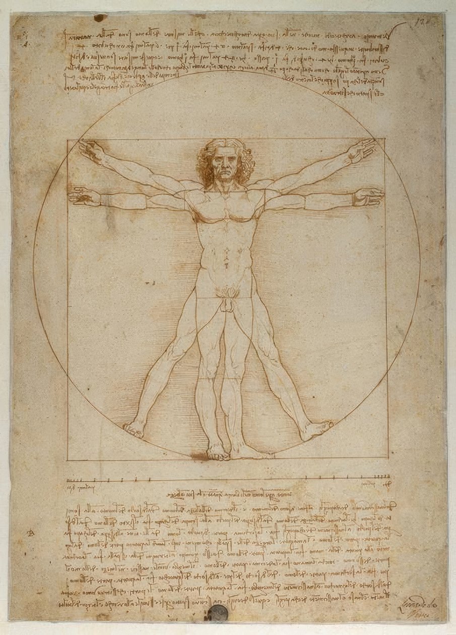 Proportional Scheme of the Human Figure According to Vitruvius by Leonardo da Vinci