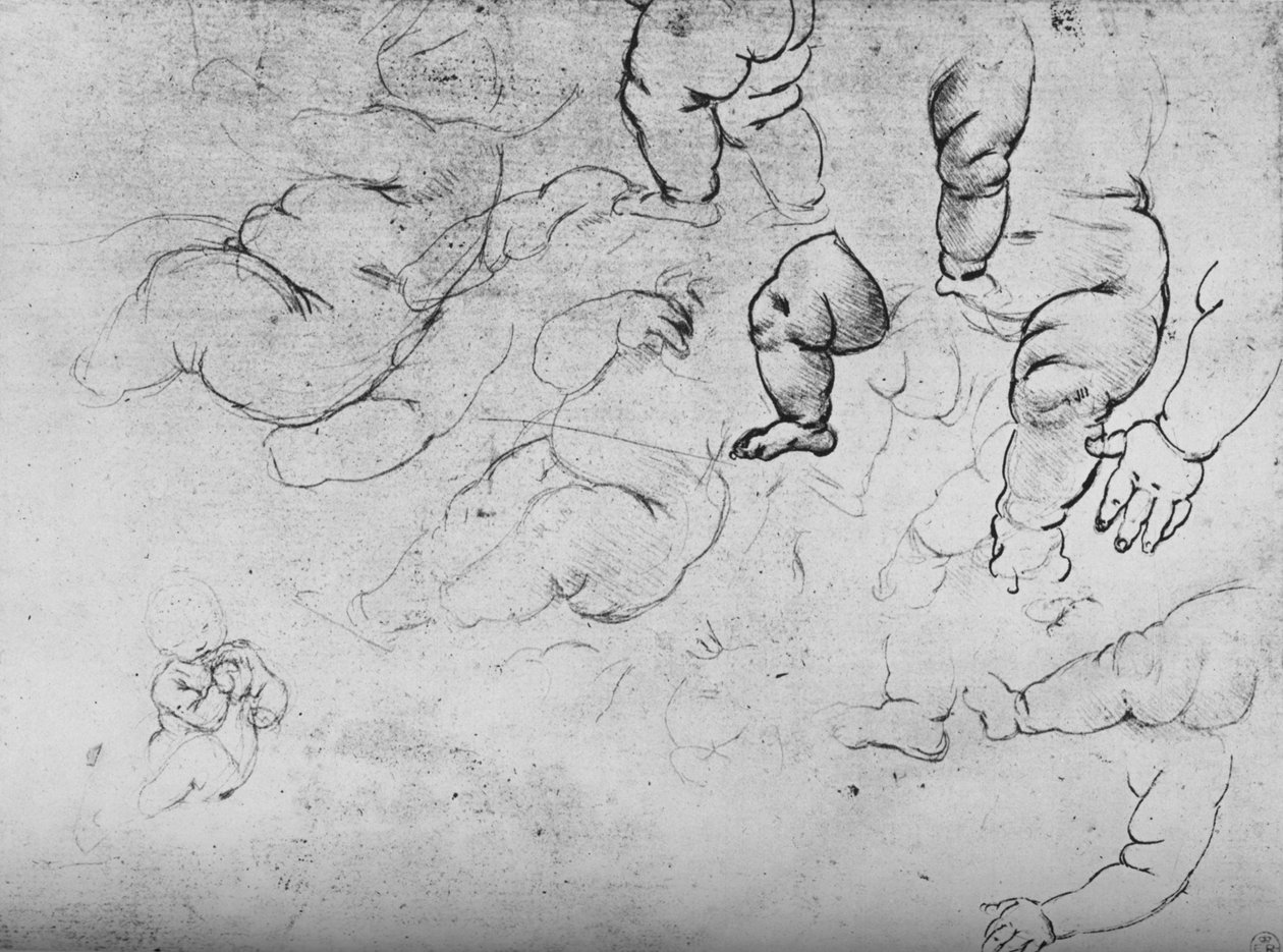 Studies of a Child, c1490 1945 by Leonardo da Vinci