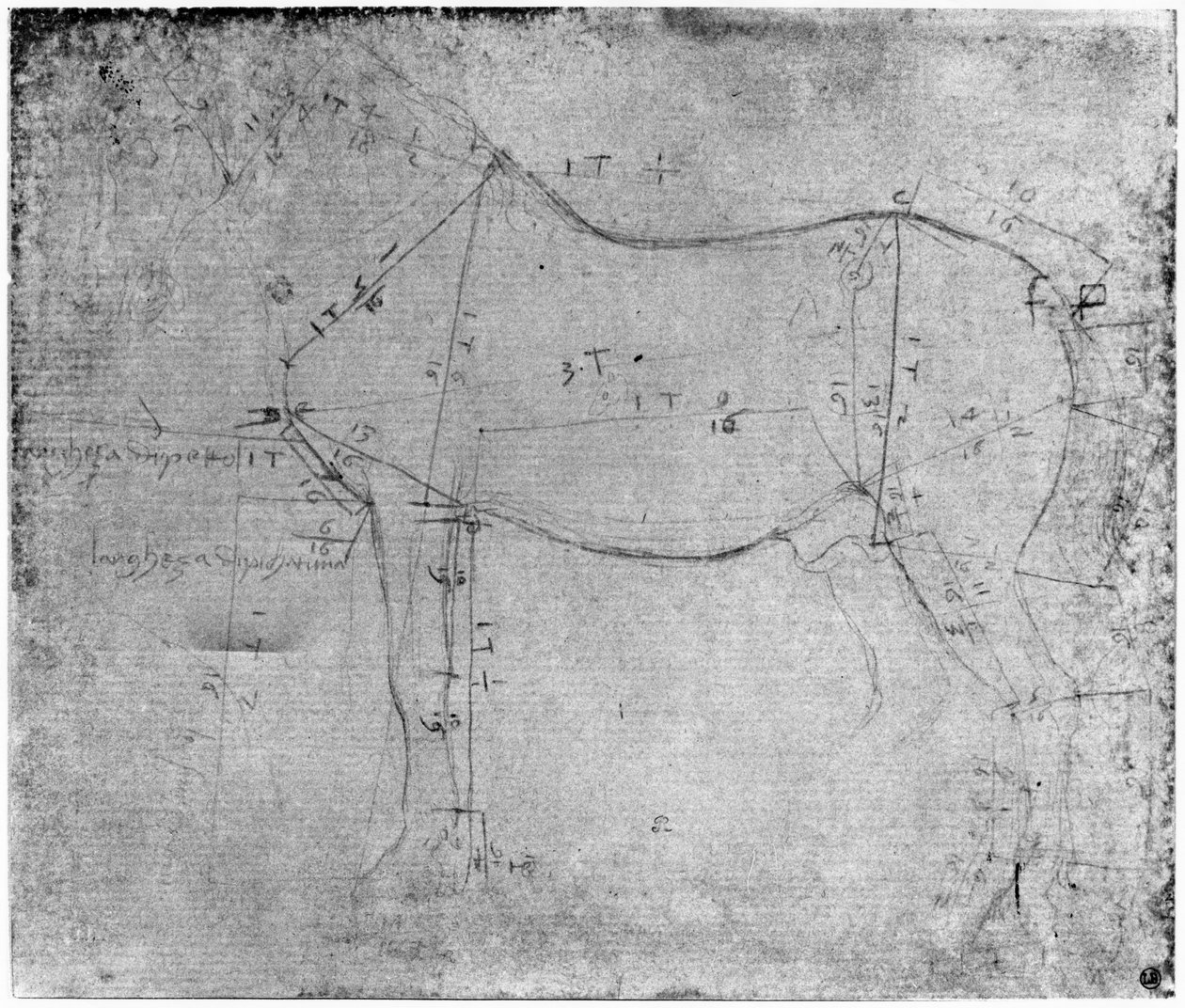 Study of a Horse by Leonardo da Vinci