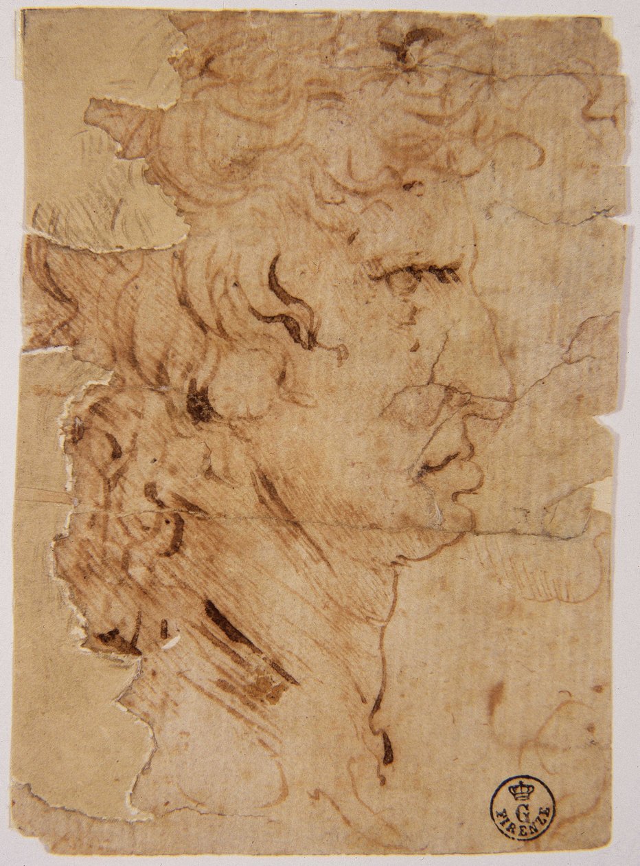 Unknown Image by Leonardo da Vinci