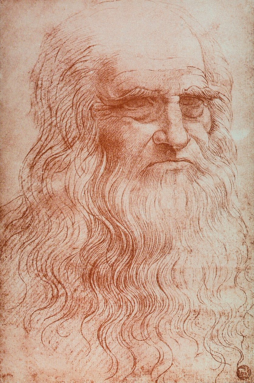 Portrait of Leonardo da Vinci, copy of Self-portrait of Leonardo da Vinci by Leonardo da after Vinci