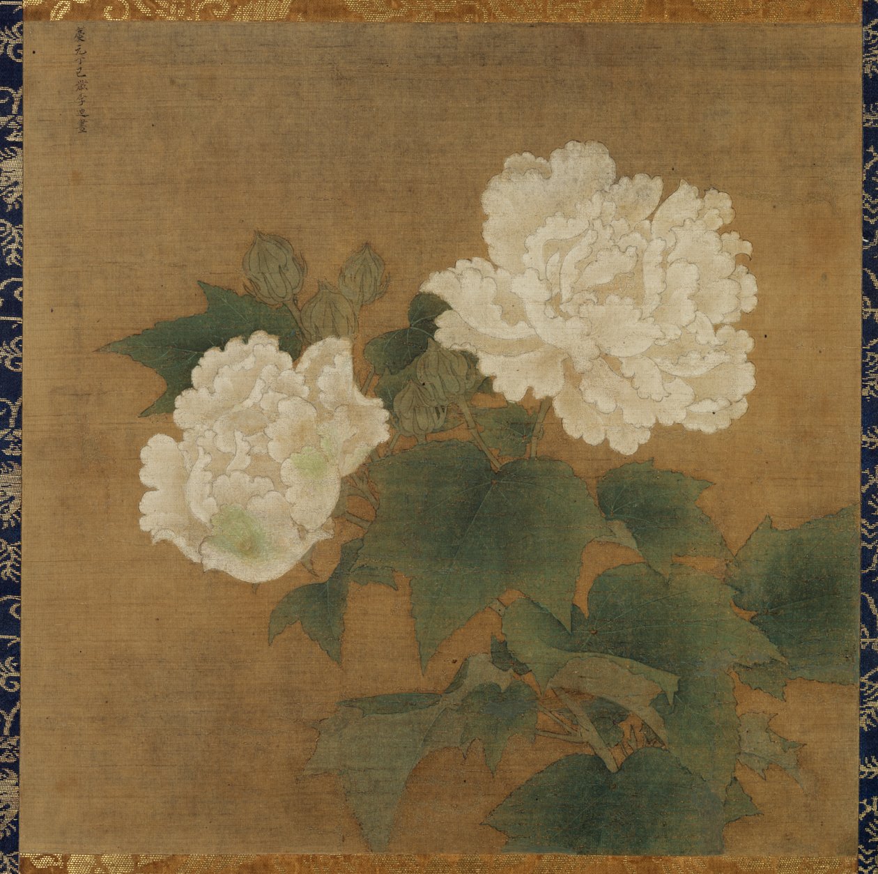 White Hibiscuses by Li Di
