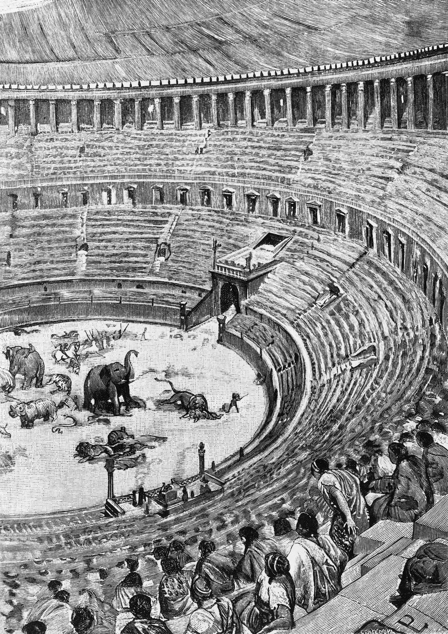 Inauguration of the Flavian Amphitheatre, known as the Colosseum, in Rome in 80 AD, with the audience watching animal combat, illustration from History of Rome, by Francesco Bertolini, Treves, Milan by Unbekannt Unbekannt