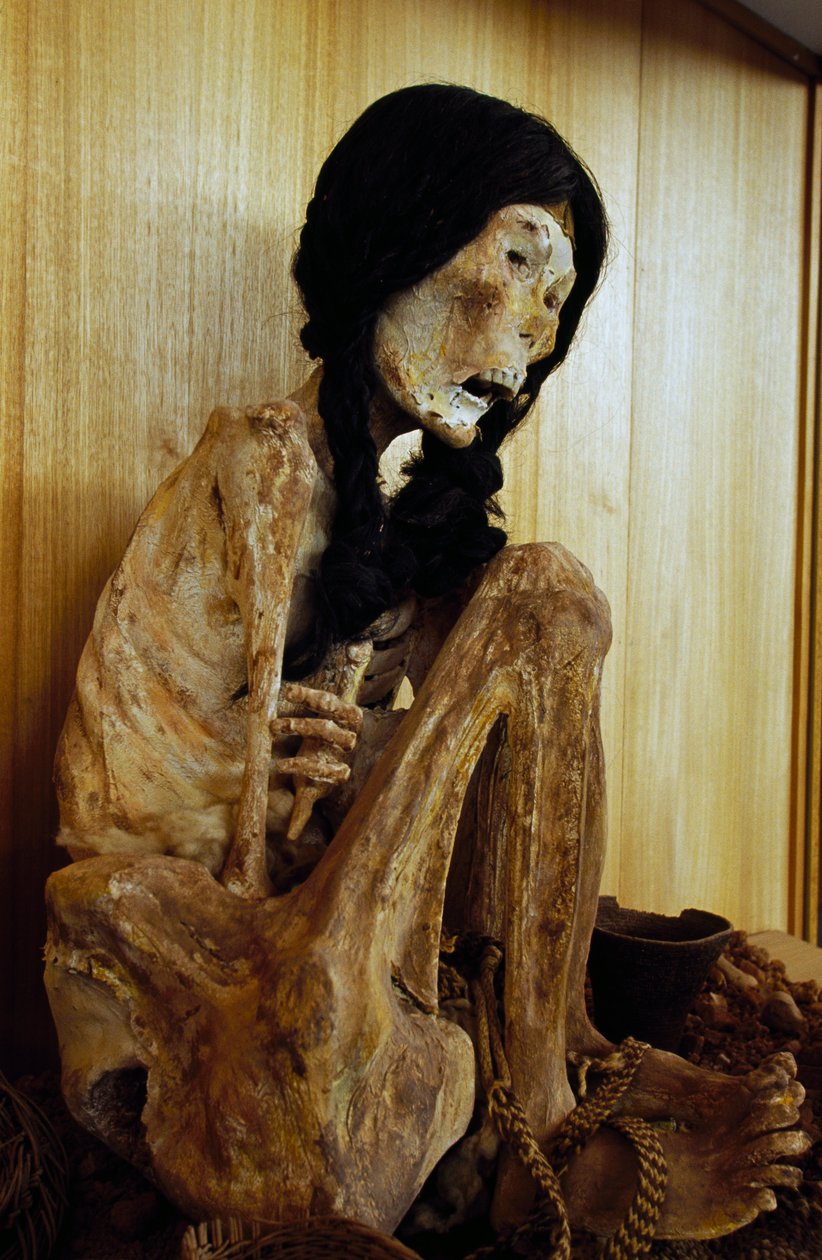 Mummy Known as Miss Chile by Unbekannt Unbekannt