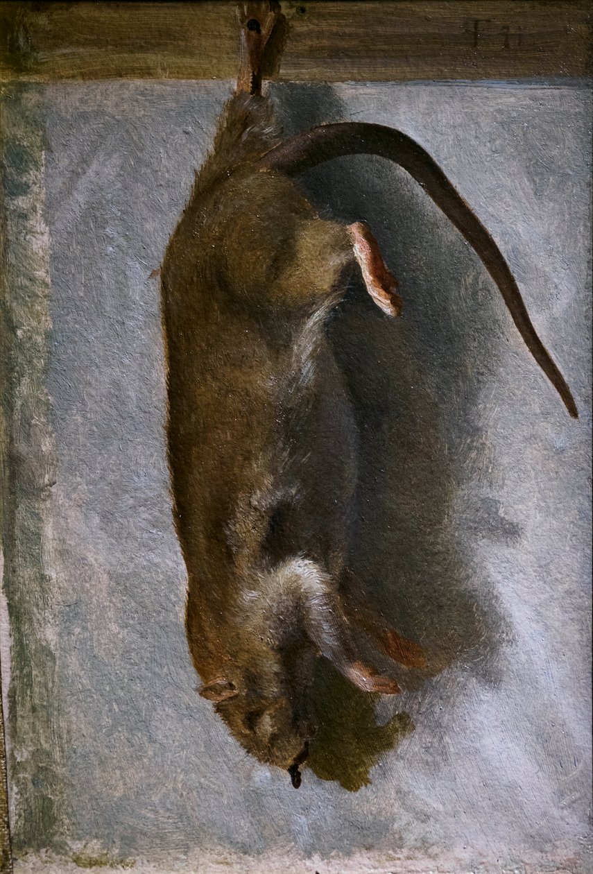 Study of a Dead Rat by Lorens Frolich