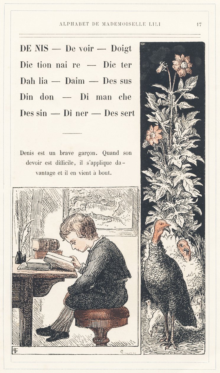 Denis, Duty, Finger, Dictionary, Dicter, Dahlia, Suede, Top, Turkey, Sunday, Drawing, Dinner, Dessert, Page 17 - Alphabet by Mademoiselle Lili, by L. Froelich and by a Dad (Hetzel Himself). Bibliotheque & Magasin d