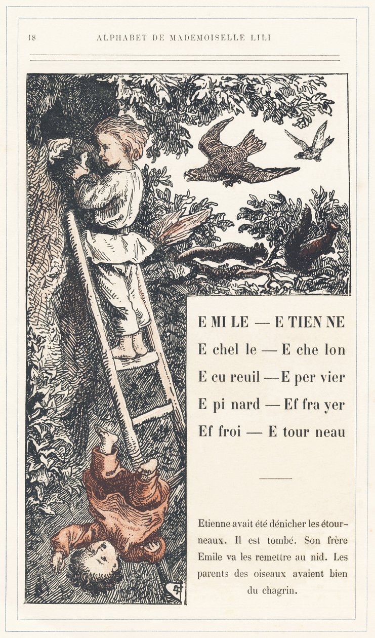 Emile, Etienne, Echelle, Echelon, Squirrel, Sparrow, Epinard, Scarer, Farry, Stourneau, Page 18 - Alphabet by Mademoiselle Lili, by L. Froelich and by a Dad (Hetzel Himself). Bibliotheque & Magasin d