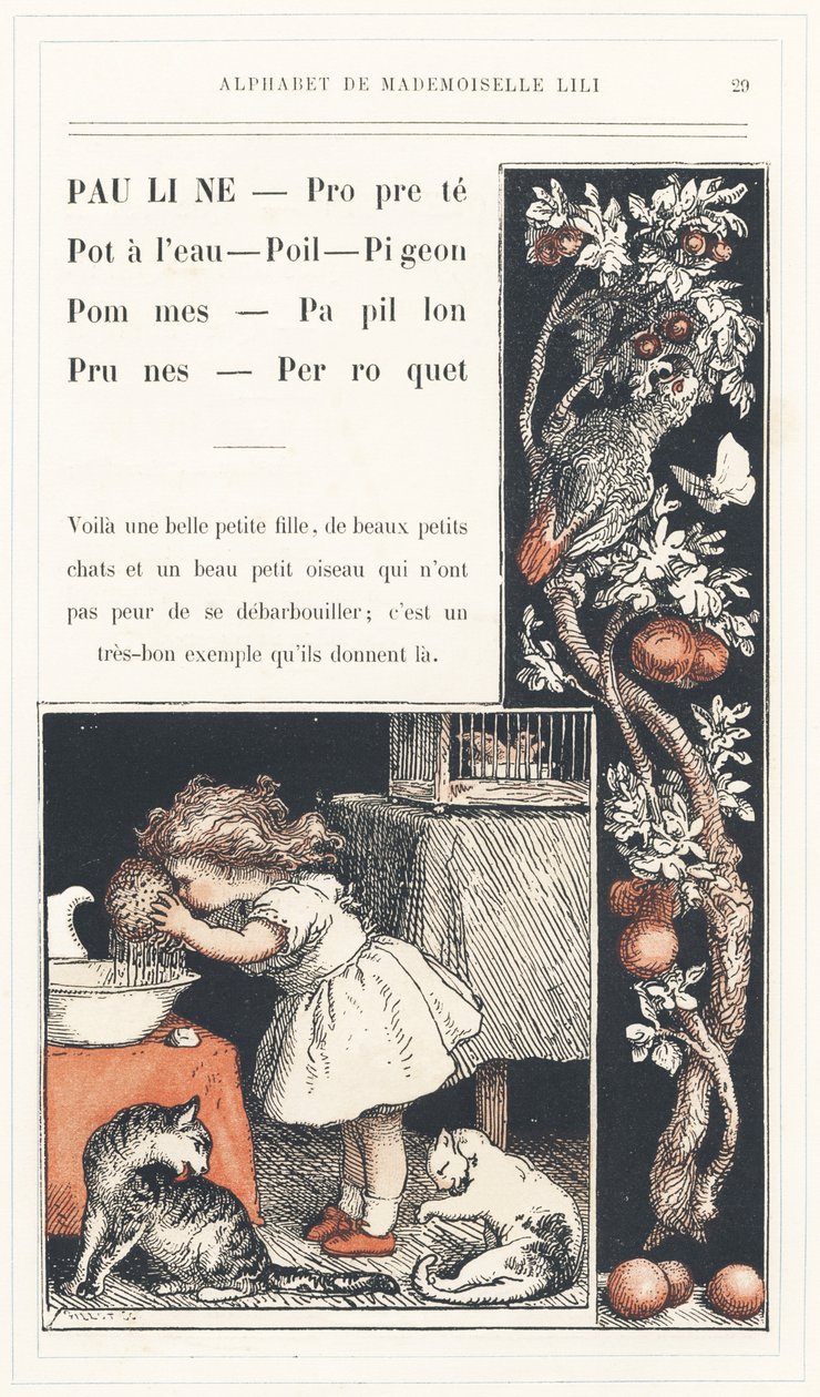 Pauline, Clean, Water Pot, Hair, Pigeon, Apples, Butterfly, Plums, Parrot, Page 29 - Alphabet by Mademoiselle Lili, by L. Froelich and by a Dad (Hetzel Himself). Bibliotheque & Magasin d