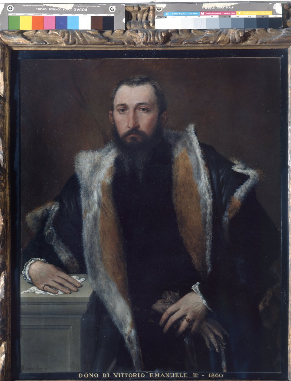 Portrait of Febo da Brescia by Lorenzo Lotto