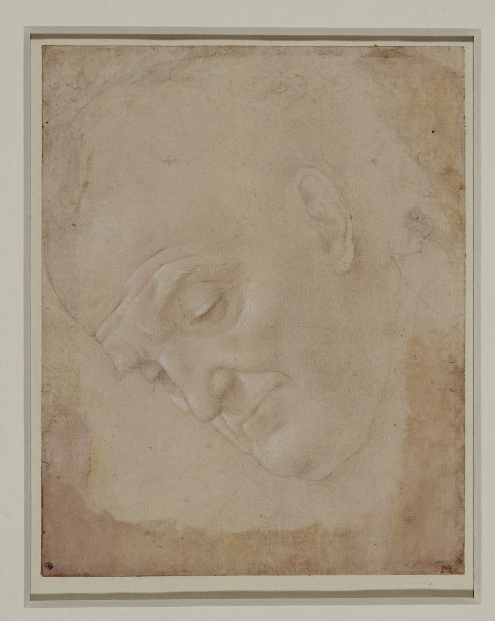 Portrait of a Bald Man, Turned Three Quarters to the Left by Lorenzo di Credi