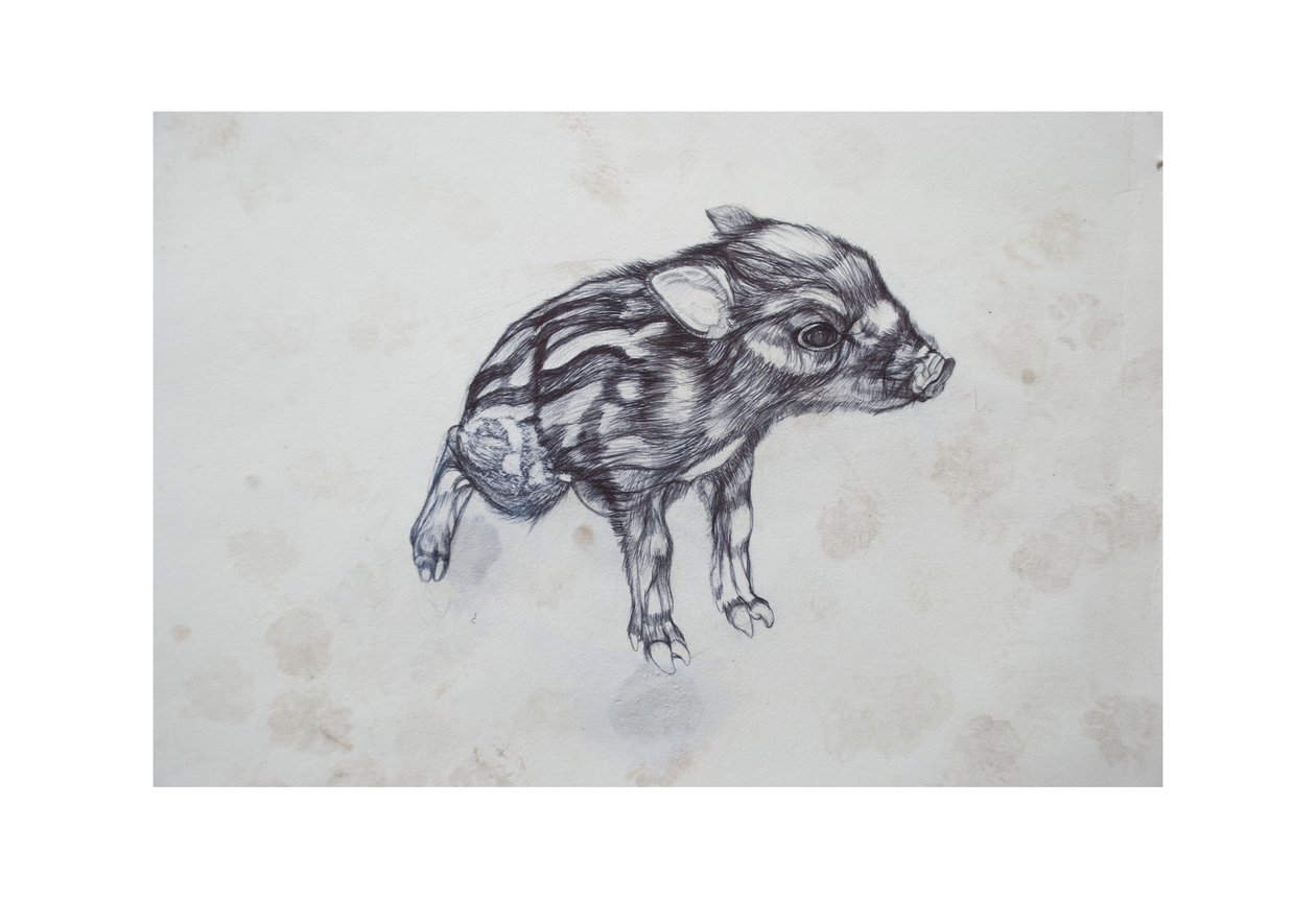 Little Pig by Lou Gibbs