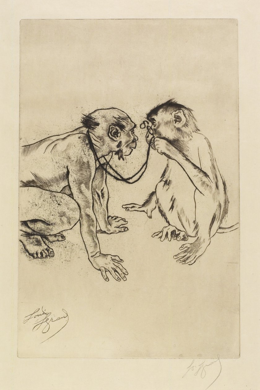 Comparative Anatomy by Louis Auguste Mathieu Legrand