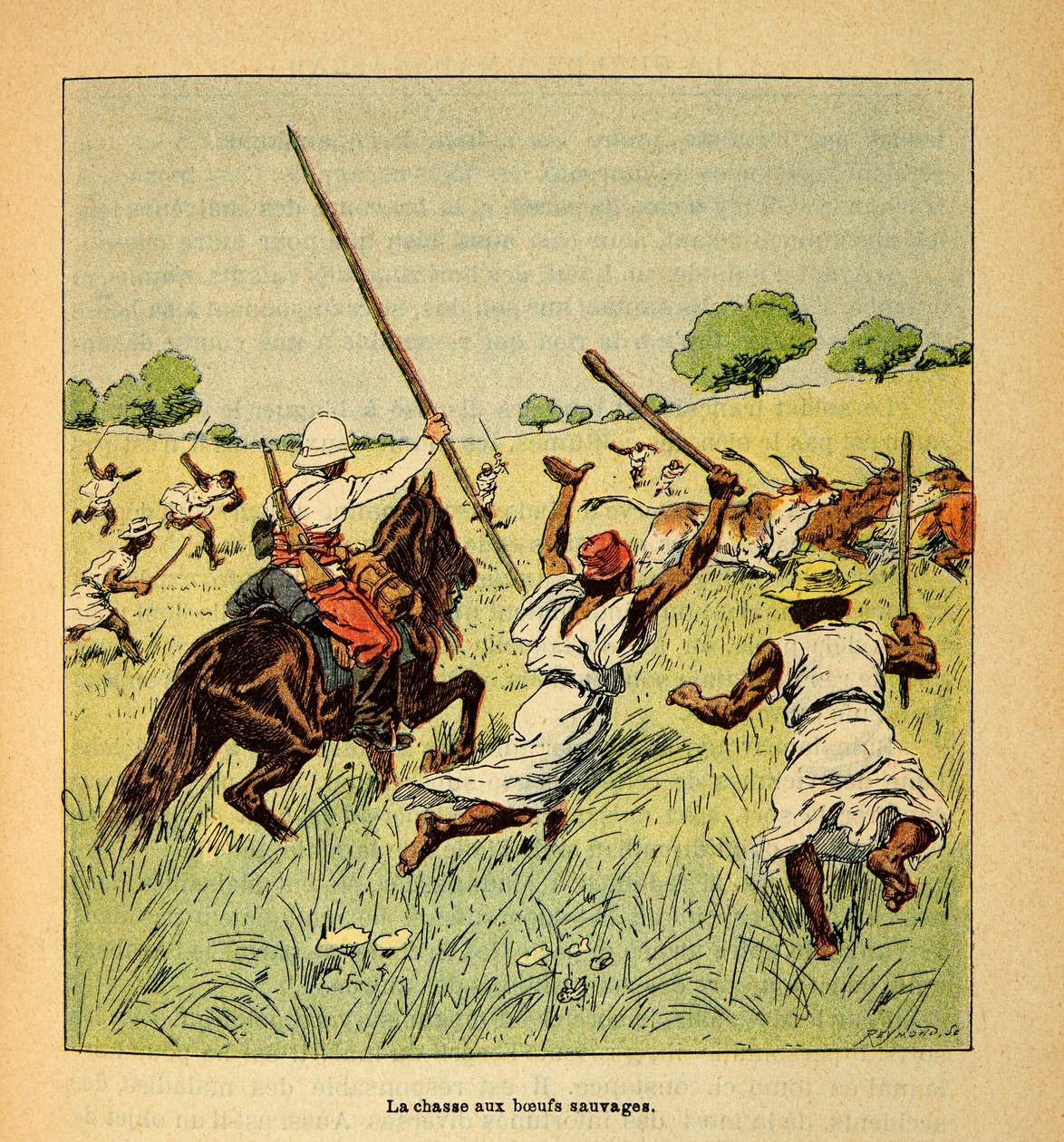 The War in Madagascar - Anecdotal History of the French Expeditions of 1885-1895 by Henri Galli, Illustrated by Louis Bombled: The Hunting of Wild Oxen in Madagascar in 1895, Private Collection by Louis Charles Bombled