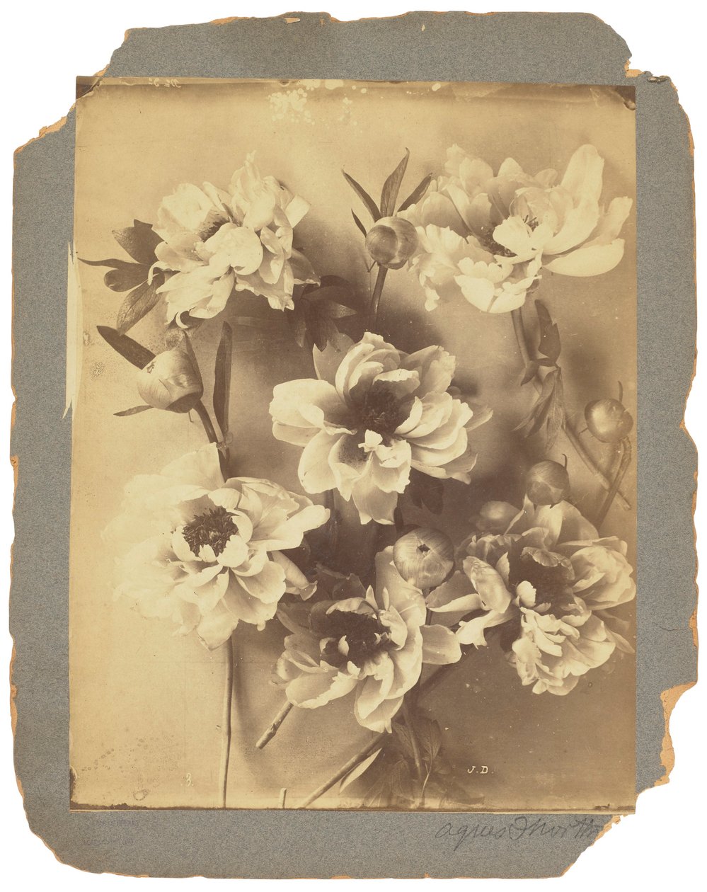 Tiffany Studios by Louis Comfort Tiffany