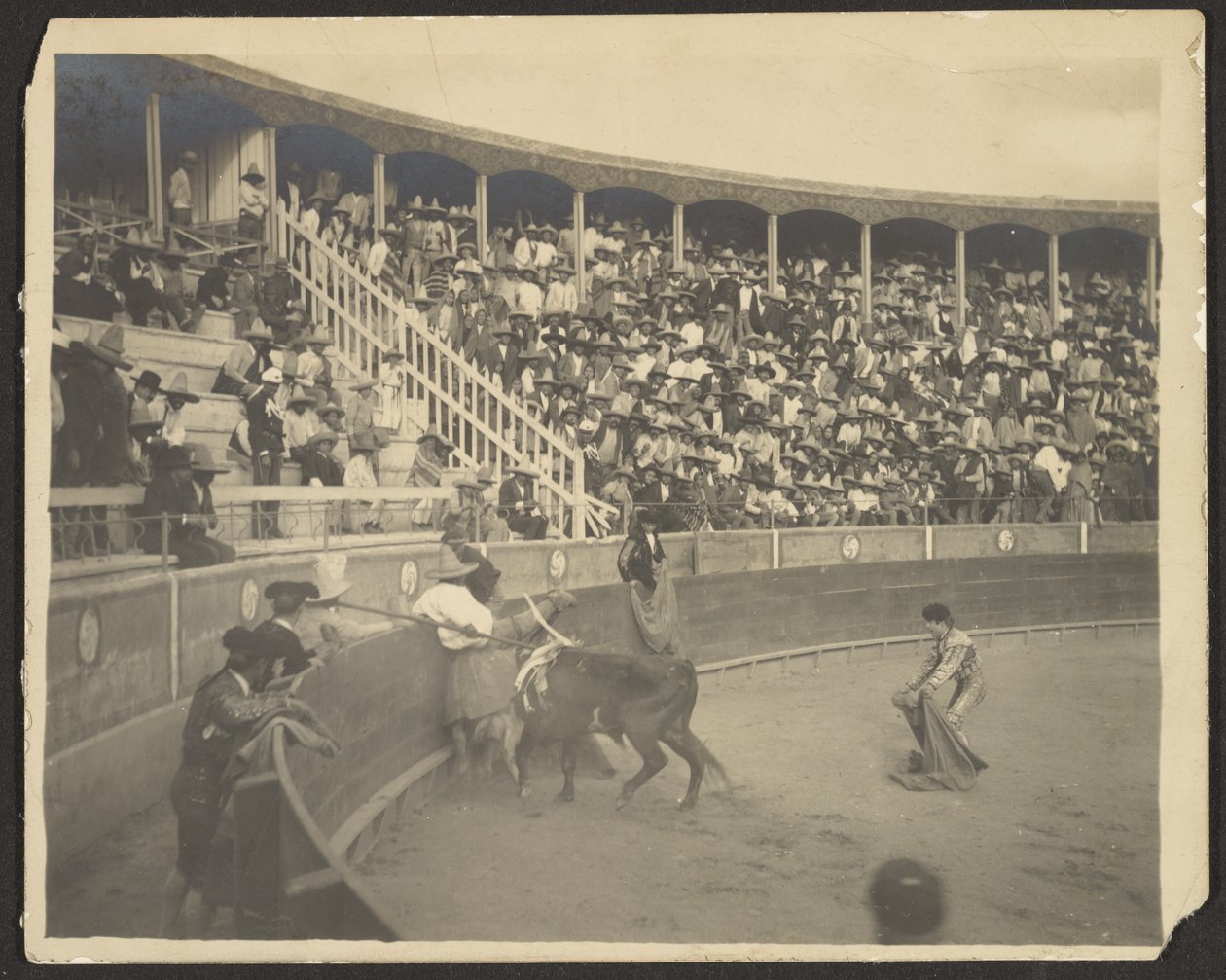 Bullfight by Louis Fleckenstein
