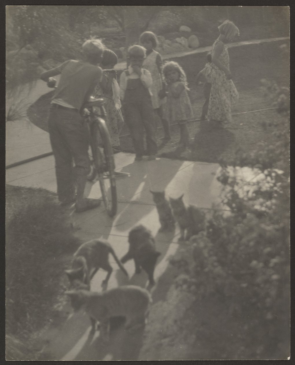 Children and Cats by Louis Fleckenstein