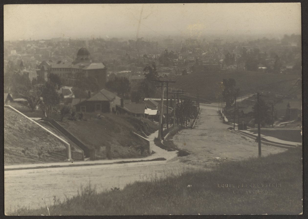 Cityscape of Los Angeles by Louis Fleckenstein